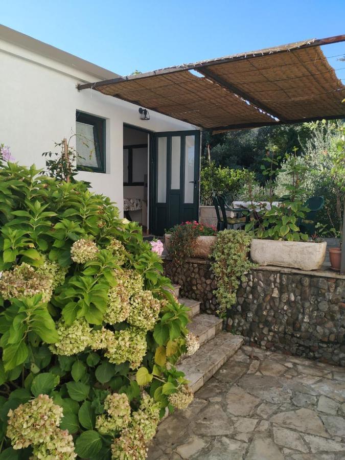 Kjara Apartments Tivat Exterior foto